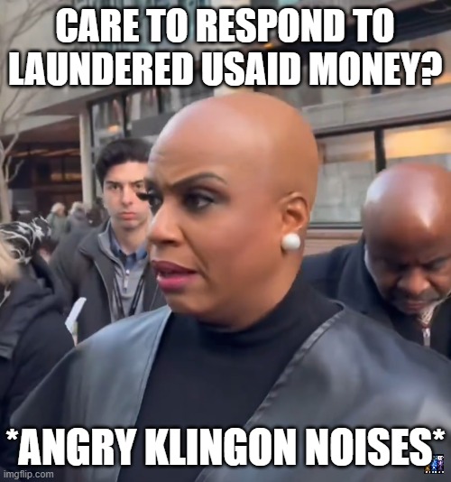 USAID Klingon | CARE TO RESPOND TO LAUNDERED USAID MONEY? *ANGRY KLINGON NOISES* | image tagged in nwo,theft,taxation is theft,elon musk,corruption | made w/ Imgflip meme maker