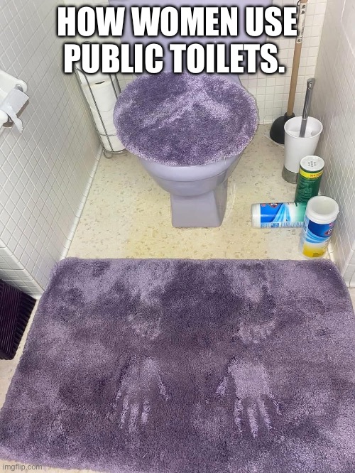 How women do it | HOW WOMEN USE PUBLIC TOILETS. | image tagged in toilet humor,men vs women,relatable memes,relationships,bruh moment,damn got hands | made w/ Imgflip meme maker