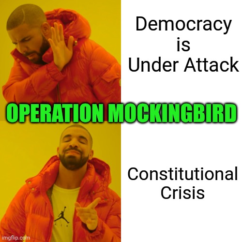 MAINSTREAM MEDIA: New attack term | Democracy is Under Attack; OPERATION MOCKINGBIRD; Constitutional Crisis | image tagged in memes,drake hotline bling,american flag,fake news | made w/ Imgflip meme maker