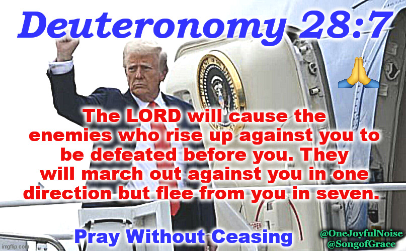 Deuteronomy 28:7DJT AF1 | Deuteronomy 28:7; The LORD will cause the enemies who rise up against you to be defeated before you. They will march out against you in one direction but flee from you in seven. @OneJoyfulNoise
@SongofGrace; Pray Without Ceasing | image tagged in pray,pray for djt | made w/ Imgflip meme maker