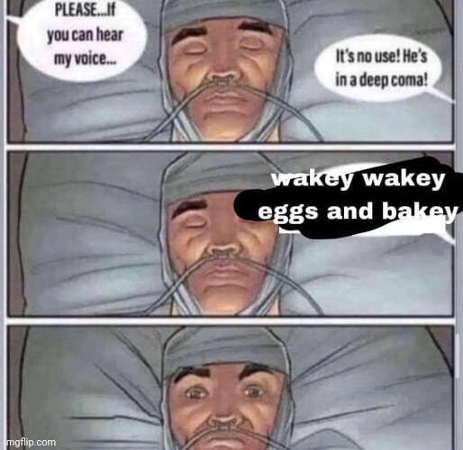 Wakey wakey | image tagged in wakey wakey,repost,reposts,memes,wake up,eggs | made w/ Imgflip meme maker