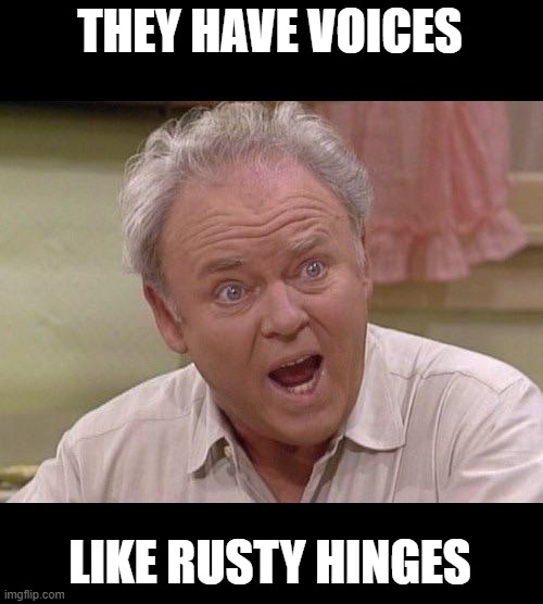 Archie Bunker | THEY HAVE VOICES LIKE RUSTY HINGES | image tagged in archie bunker | made w/ Imgflip meme maker