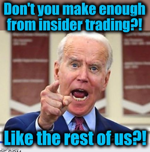 Joe Biden no malarkey | Don't you make enough from insider trading?! Like the rest of us?! | image tagged in joe biden no malarkey | made w/ Imgflip meme maker