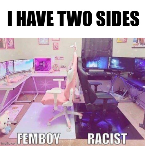 what a dirty fucking n | I HAVE TWO SIDES; FEMBOY; RACIST | made w/ Imgflip meme maker