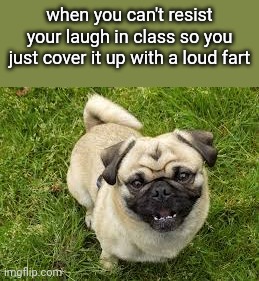 Happy pug | when you can't resist your laugh in class so you just cover it up with a loud fart | image tagged in happy pug | made w/ Imgflip meme maker