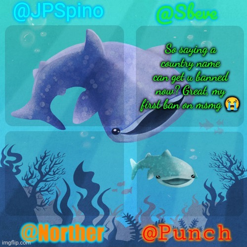 ***** is a country bruh | So saying a country name can get u banned now? Great, my first ban on msmg 😭 | image tagged in spino sbeve norther punch shared temp | made w/ Imgflip meme maker