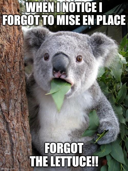 Surprised Koala | WHEN I NOTICE I FORGOT TO MISE EN PLACE; FORGOT THE LETTUCE!! | image tagged in memes,surprised koala | made w/ Imgflip meme maker
