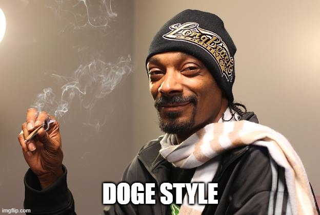 Snoop Dogg | DOGE STYLE | image tagged in snoop dogg | made w/ Imgflip meme maker