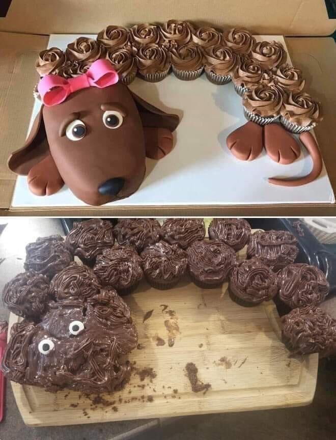 cupcake dog Blank Meme Template