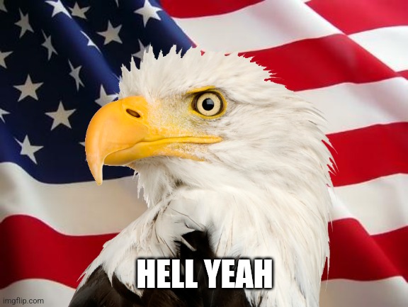 American flag | HELL YEAH | image tagged in american flag | made w/ Imgflip meme maker