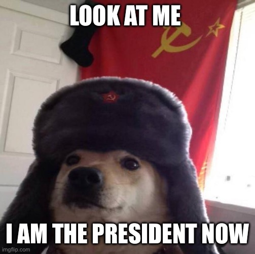 Russian Doge | LOOK AT ME; I AM THE PRESIDENT NOW | image tagged in russian doge | made w/ Imgflip meme maker