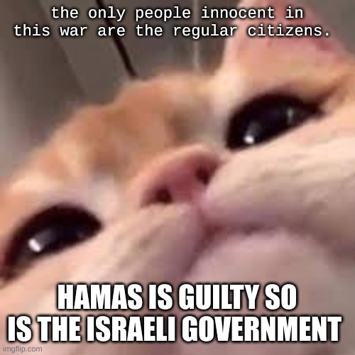 smug asf cat or shit idk im dumb | the only people innocent in this war are the regular citizens. HAMAS IS GUILTY SO IS THE ISRAELI GOVERNMENT | image tagged in smug asf cat or shit idk im dumb | made w/ Imgflip meme maker