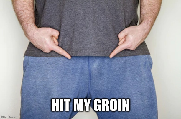 Pointing at Groin | HIT MY GROIN | image tagged in pointing at groin | made w/ Imgflip meme maker