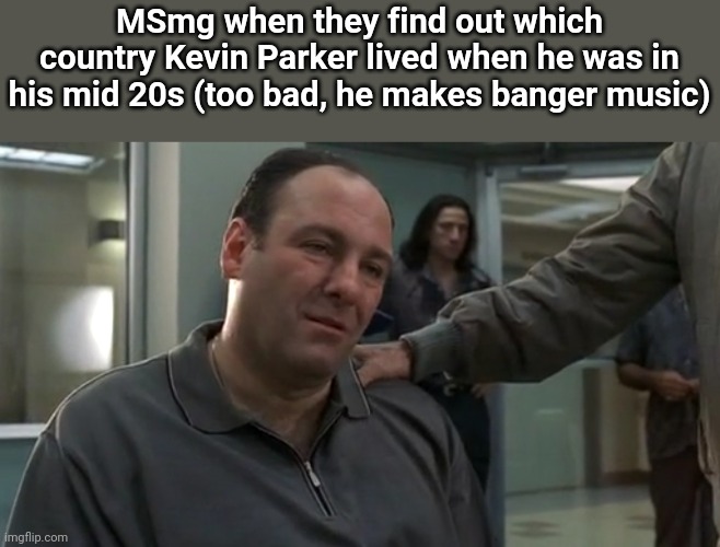 Tony Soprano sad | MSmg when they find out which country Kevin Parker lived when he was in his mid 20s (too bad, he makes banger music) | image tagged in tony soprano sad | made w/ Imgflip meme maker