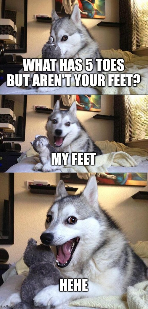 Bad Pun Dog | WHAT HAS 5 TOES BUT AREN'T YOUR FEET? MY FEET; HEHE | image tagged in memes,bad pun dog | made w/ Imgflip meme maker