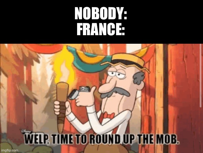 Revolution | NOBODY:
FRANCE: | image tagged in gravity falls,france,dank memes | made w/ Imgflip meme maker