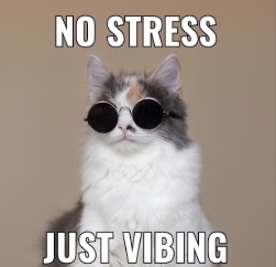 The cat thats cool Blank Meme Template