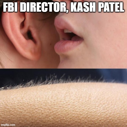 Whisper and Goosebumps | FBI DIRECTOR, KASH PATEL | image tagged in whisper and goosebumps | made w/ Imgflip meme maker