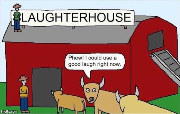 Food | image tagged in dark,memes,funny,cows,laughterhouse,slaughterhouse | made w/ Imgflip meme maker