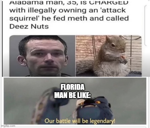 oh no | FLORIDA MAN BE LIKE: | image tagged in finally a worthy opponent | made w/ Imgflip meme maker