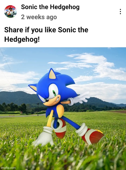 whoever  at sega posts this kinda content needs raise also sonic is touching grass aaaaaaaaa | image tagged in meme,sonic the hedgehog,sonic,funny | made w/ Imgflip meme maker