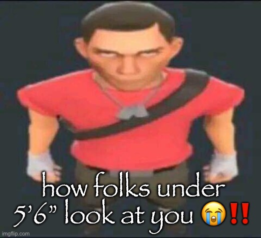 “Pick me up I’m scared” | how folks under 5’6” look at you 😭‼️ | image tagged in bro,shitpost,slander,msmg | made w/ Imgflip meme maker