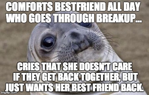 Awkward Moment Sealion | COMFORTS BESTFRIEND ALL DAY WHO GOES THROUGH BREAKUP... CRIES THAT SHE DOESN'T CARE IF THEY GET BACK TOGETHER, BUT JUST WANTS HER BEST FRIEN | image tagged in memes,awkward moment sealion,AdviceAnimals | made w/ Imgflip meme maker