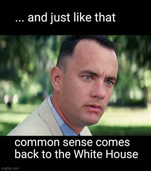 common sense comeback | ... and just like that; common sense comes
back to the White House | image tagged in just like that,doge,elon musk,donald trump | made w/ Imgflip meme maker