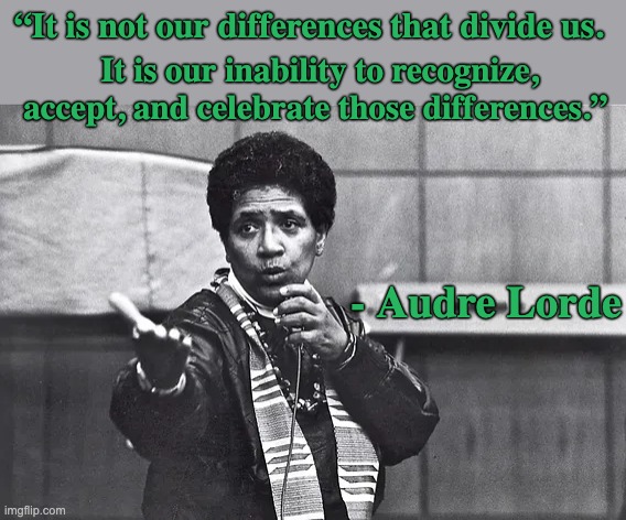 Remember | “It is not our differences that divide us. It is our inability to recognize, accept, and celebrate those differences.”; - Audre Lorde | image tagged in poet,black history month,quote | made w/ Imgflip meme maker