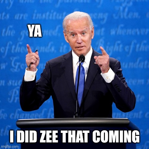 Biden hands finger measurement | YA I DID ZEE THAT COMING | image tagged in biden hands finger measurement | made w/ Imgflip meme maker