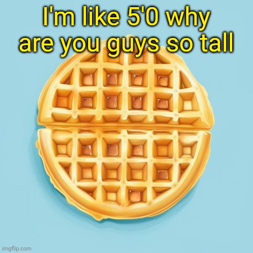 Waffle | I'm like 5'0 why are you guys so tall | image tagged in waffle | made w/ Imgflip meme maker