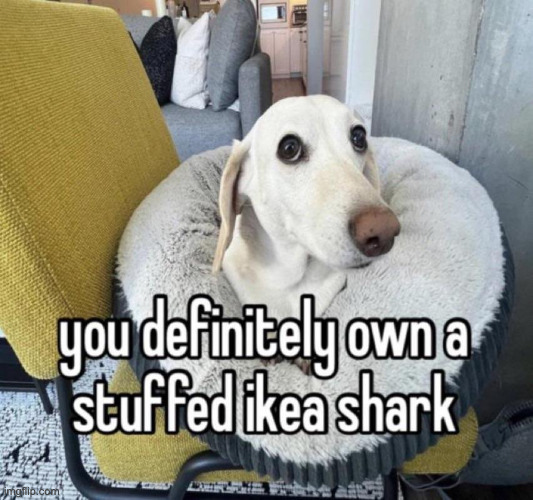 You definitely own a stuffed Ikea shark | image tagged in you definitely own a stuffed ikea shark | made w/ Imgflip meme maker