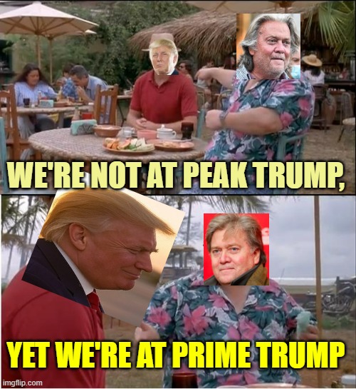 THE WORLD according to STEVE BANNON | WE'RE NOT AT PEAK TRUMP, YET WE'RE AT PRIME TRUMP | image tagged in memes,national,popularity,trump,steve bannon,elon musk | made w/ Imgflip meme maker