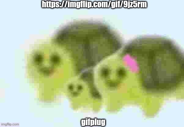 https://imgflip.com/gif/9jz5rm | https://imgflip.com/gif/9jz5rm; gifplug | image tagged in low quality turtle family | made w/ Imgflip meme maker
