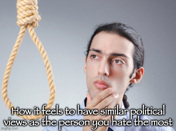 noose | How it feels to have similar political views as the person you hate the most | image tagged in noose | made w/ Imgflip meme maker