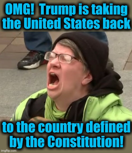 Libs: it's horrible! | OMG!  Trump is taking the United States back; to the country defined
by the Constitution! | image tagged in memes,trump derangement syndrome,constitution,doge,elon musk,democrats | made w/ Imgflip meme maker