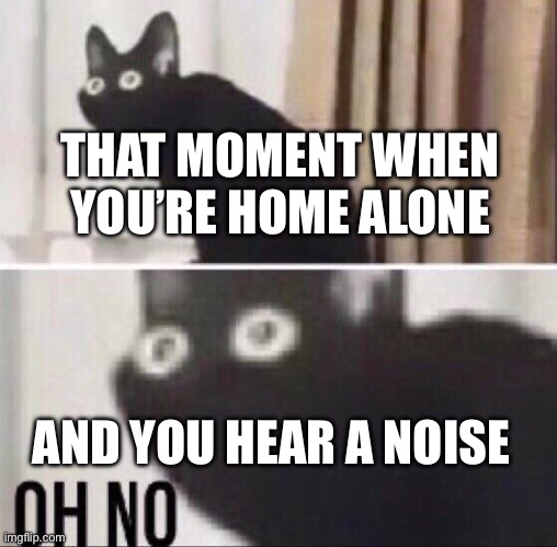 Oh no not good | THAT MOMENT WHEN YOU’RE HOME ALONE; AND YOU HEAR A NOISE | image tagged in oh no cat | made w/ Imgflip meme maker