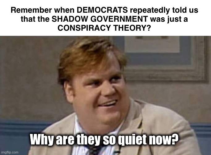 Another conspiracy theory proven | Remember when DEMOCRATS repeatedly told us 
that the SHADOW GOVERNMENT was just a 
CONSPIRACY THEORY? Why are they so quiet now? | image tagged in chris farley awesome | made w/ Imgflip meme maker