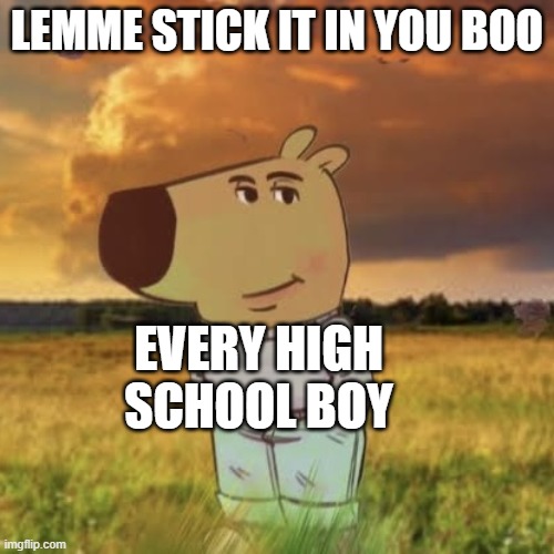 they the mood | LEMME STICK IT IN YOU BOO; EVERY HIGH SCHOOL BOY | image tagged in chill guy | made w/ Imgflip meme maker