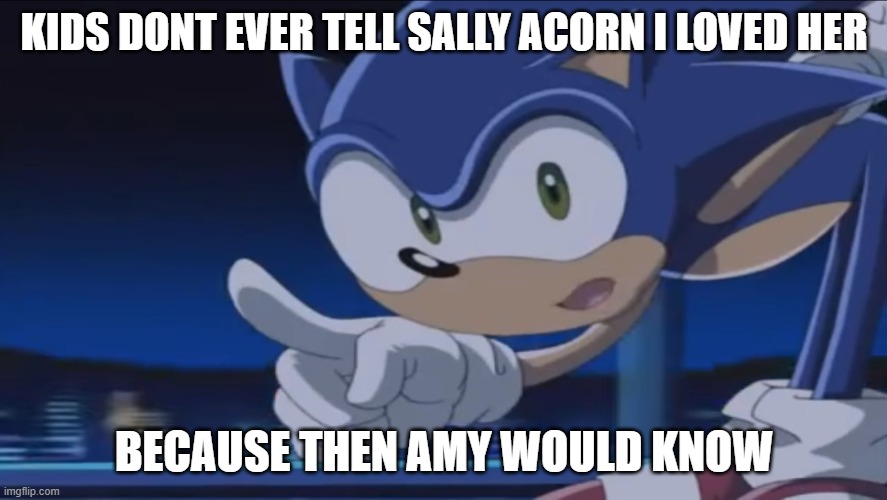 Kids, Don't - Sonic X | KIDS DONT EVER TELL SALLY ACORN I LOVED HER; BECAUSE THEN AMY WOULD KNOW | image tagged in kids don't - sonic x | made w/ Imgflip meme maker