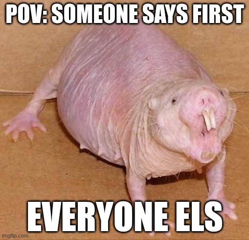 naked mole rat | POV: SOMEONE SAYS FIRST; EVERYONE ELS | image tagged in naked mole rat | made w/ Imgflip meme maker