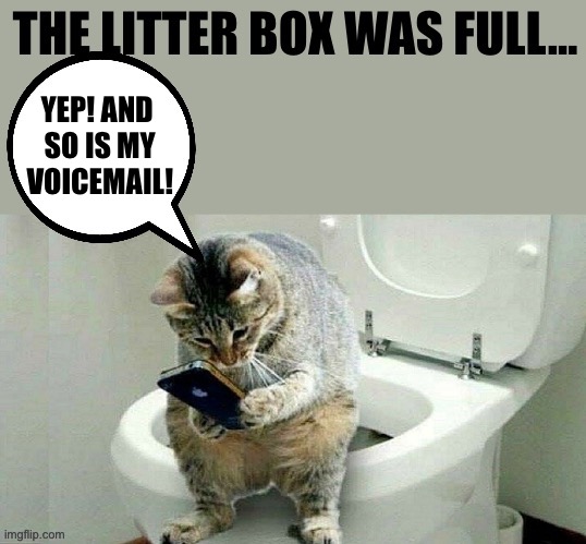 When you gotta go… you gotta go! | YEP! AND 
SO IS MY
VOICEMAIL! | image tagged in funny cats | made w/ Imgflip meme maker