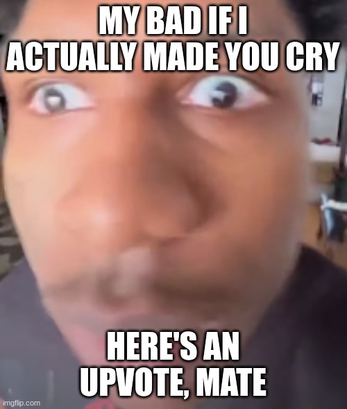 MY BAD IF I ACTUALLY MADE YOU CRY HERE'S AN UPVOTE, MATE | made w/ Imgflip meme maker