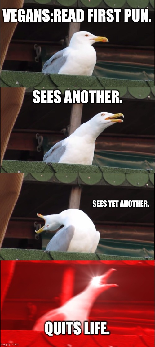 Inhaling Seagull | VEGANS:READ FIRST PUN. SEES ANOTHER. SEES YET ANOTHER. QUITS LIFE. | image tagged in memes,inhaling seagull | made w/ Imgflip meme maker