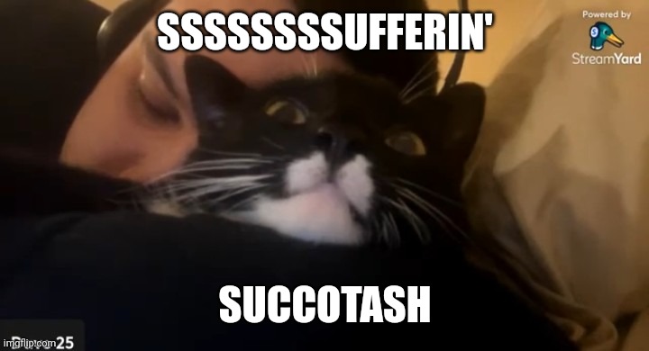 Dave25 | SSSSSSSSUFFERIN'; SUCCOTASH | image tagged in dave25,meme,memes,funny | made w/ Imgflip meme maker