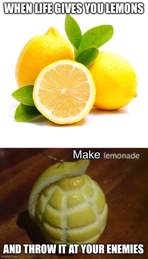 WHEN LIFE GIVES YOU LEMONS; Make; AND THROW IT AT YOUR ENEMIES | image tagged in when life gives you lemons | made w/ Imgflip meme maker