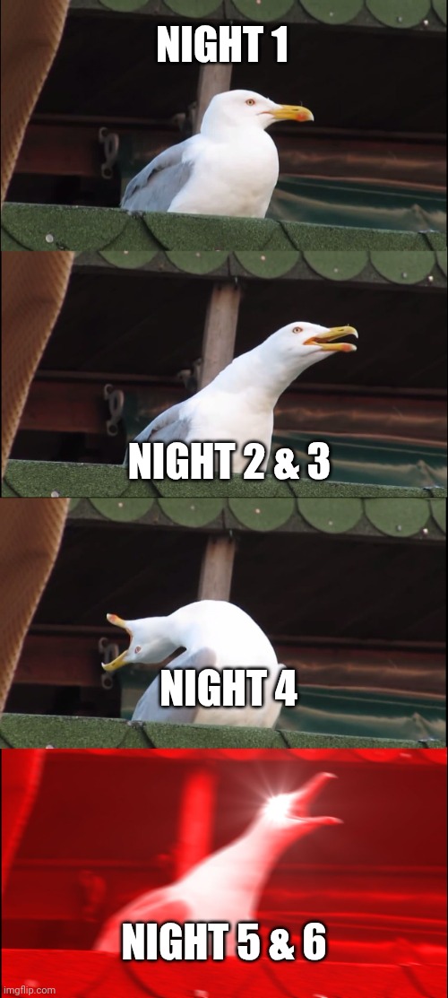 The nights of fnaf | NIGHT 1; NIGHT 2 & 3; NIGHT 4; NIGHT 5 & 6 | image tagged in memes,inhaling seagull | made w/ Imgflip meme maker