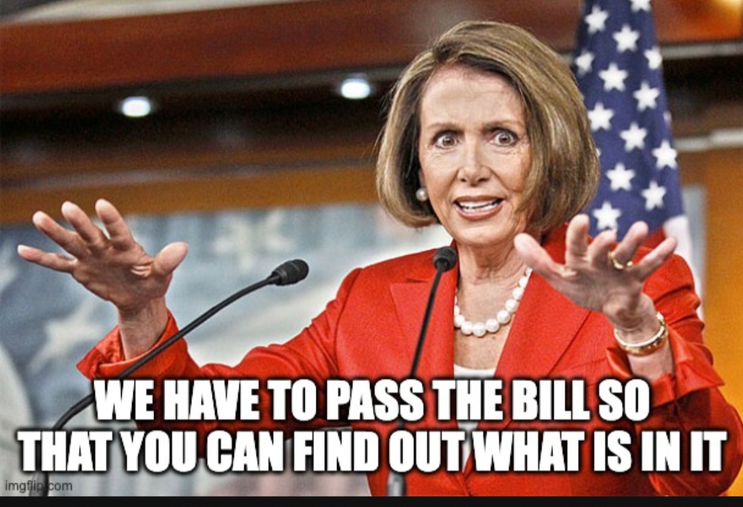 Pelosi started it Blank Meme Template