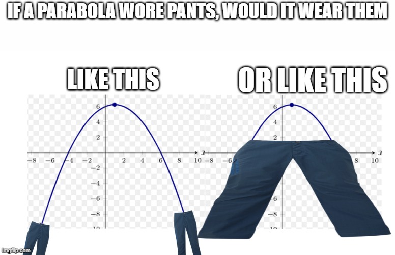 IF A PARABOLA WORE PANTS, WOULD IT WEAR THEM; OR LIKE THIS; LIKE THIS | image tagged in math,wore pants,pants | made w/ Imgflip meme maker