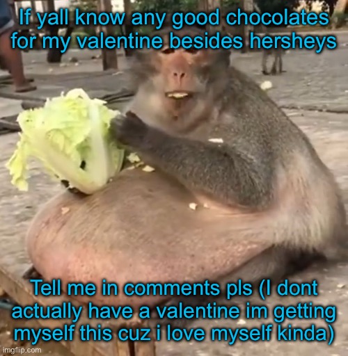 Fat Monkey | If yall know any good chocolates for my valentine besides hersheys; Tell me in comments pls (I dont actually have a valentine im getting myself this cuz i love myself kinda) | image tagged in fat monkey | made w/ Imgflip meme maker